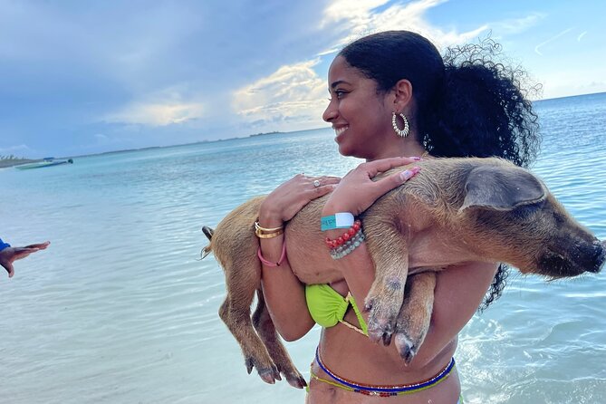 Rose Island Private Beach: Swimming with the Pigs - A private Rose Island beach instead of a crowded pig stop