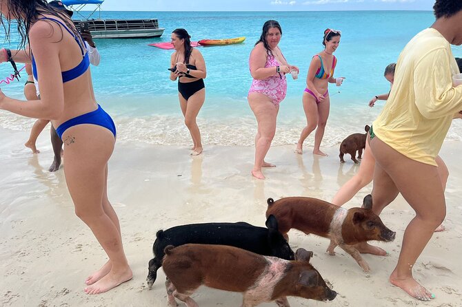 Rose Island Private Beach: Swimming with the Pigs - Lunch, hammocks, and time at the beach club