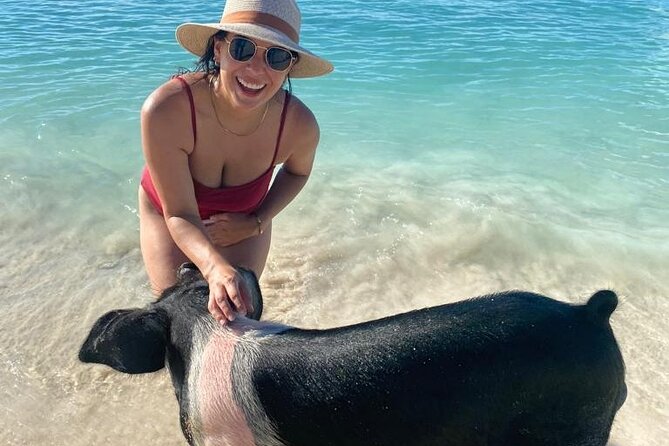 Rose Island Private Beach: Swimming with the Pigs - Price, group size, and overall value