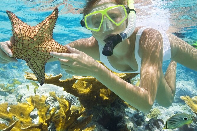 Rose Island Private Beach: Swimming with the Pigs - Booking and cancellation details