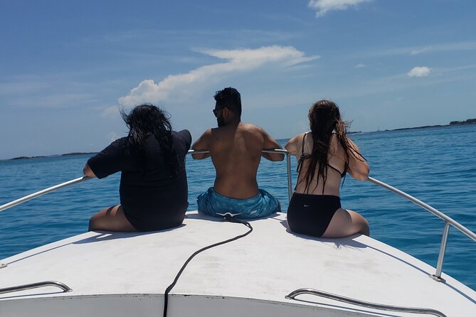 Rose Island: Private Snorkeling, Fishing, and Swimming with Pigs - Swimming with pigs, and the extra $35 cost
