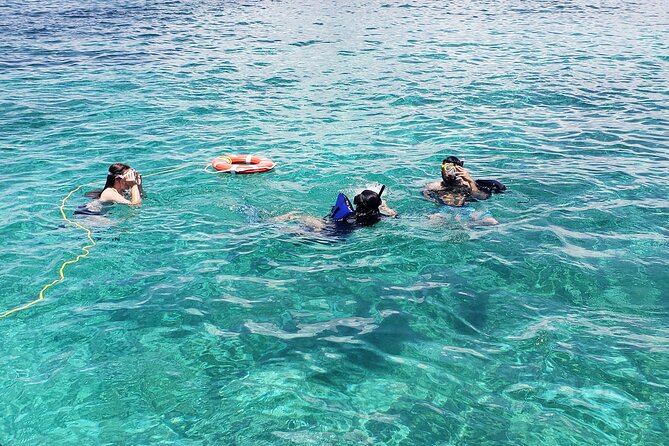 Rose Island: Private Snorkeling, Fishing, and Swimming with Pigs - Captain Frenchie and the crew