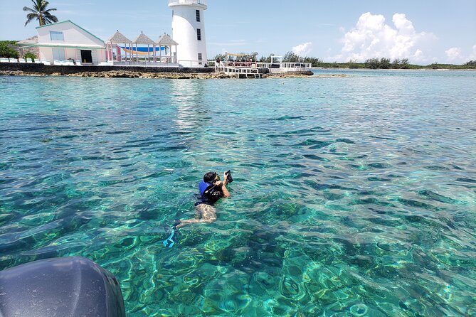 Rose Island: Private Snorkeling, Fishing, and Swimming with Pigs - Green Cay and the sea turtle stop