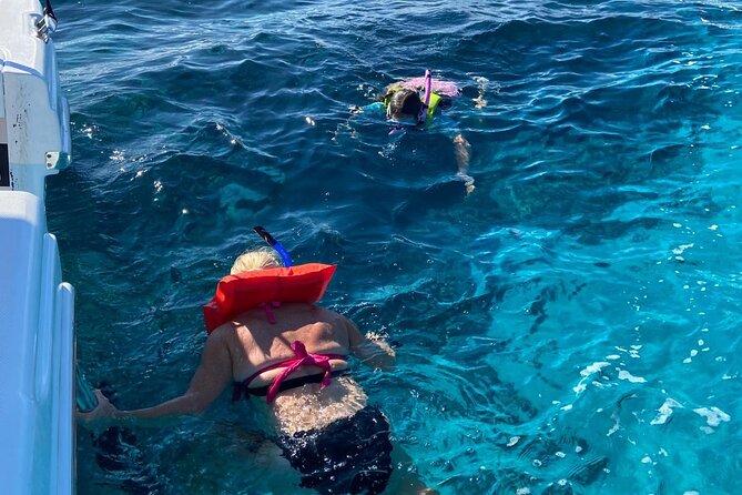 Rose Island Swimming Pigs - Is $259 a Fair Price?