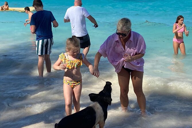 Rose Island Swimming Pigs - Who Should Book This Trip?