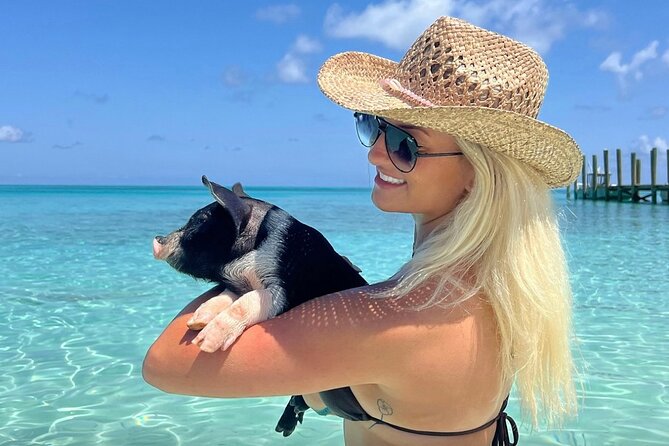 Rose Island Swimming Pigs & Beach Snorkeling Experience Nassau - A short ferry ride from downtown Nassau