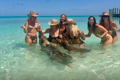 Rose Island Swimming Pigs & Beach Snorkeling Experience Nassau