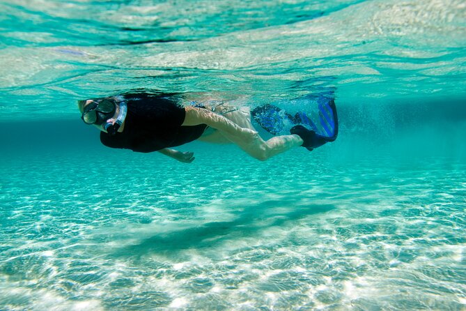 Rose Island Swimming Pigs & Beach Snorkeling Experience Nassau - A group of up to 60 people