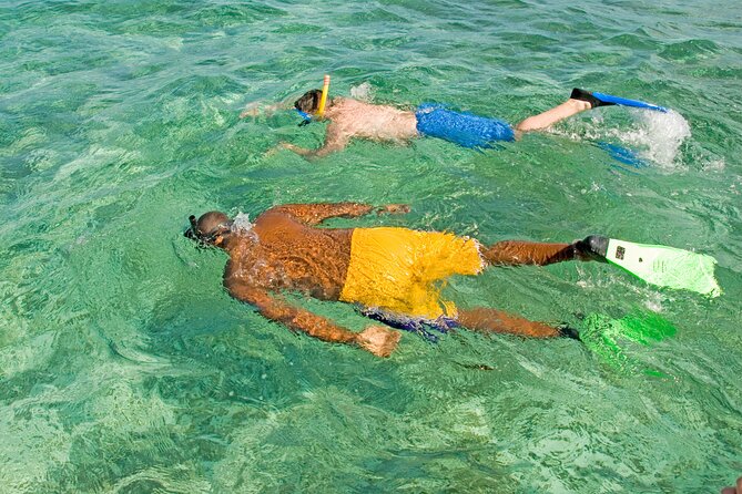 Rose Island Swimming Pigs & Beach Snorkeling Experience Nassau - Timing, weather, and the real length of the day