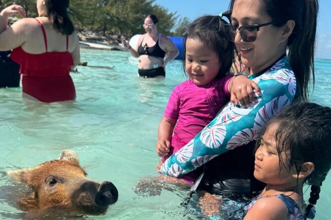 Rose Island Swimming Pigs & Beach Snorkeling Experience Nassau - Useful planning tips before you book