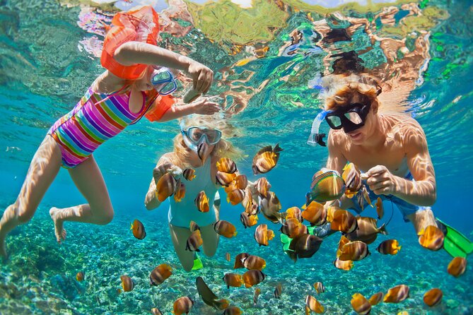 Rose Island Swimming Pigs & Beach Snorkeling Experience Nassau - Should you book the Rose Island swimming pigs tour?