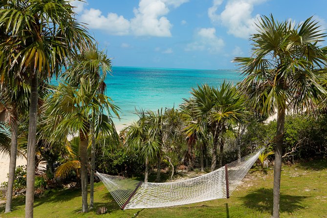 Sandy Toes The Original Rose Island and Swimming Pigs Tour - Is $258 per person a fair price?