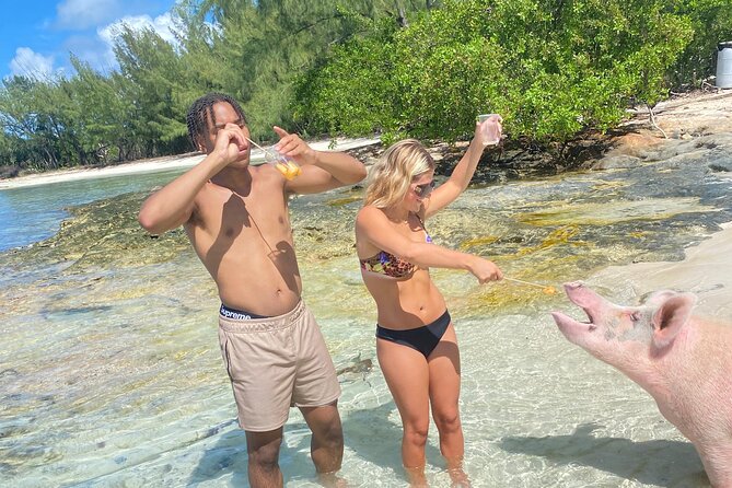Self Drive Speedboat and Swim with the Pigs - Who will enjoy this most