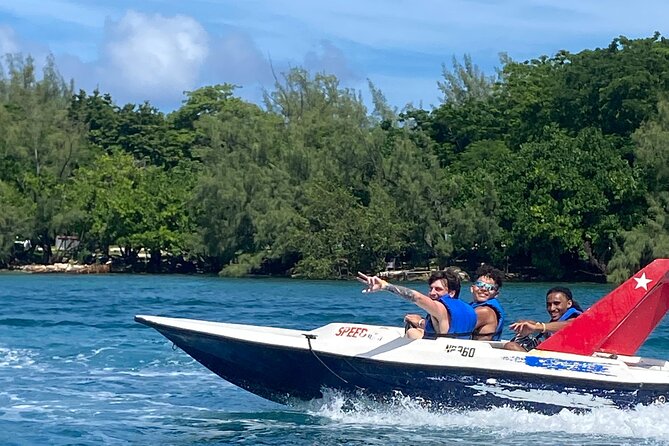 Self Drive Speedboat and Swim with the Pigs - Meeting the pigs on a private island