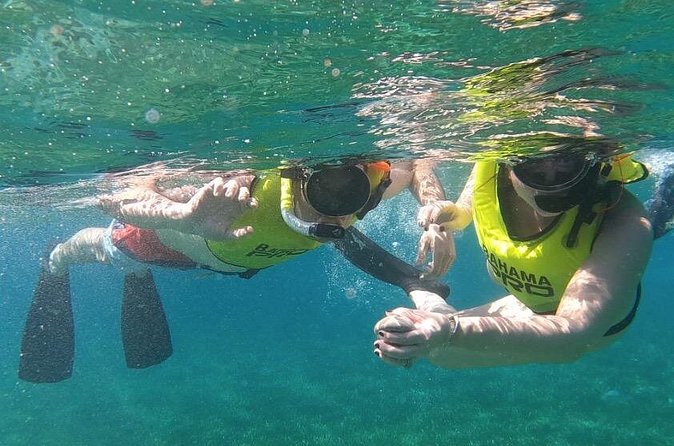 Small-Group Snorkeling Experience at Sea Garden - Captain Keith, Crew, and Group Size