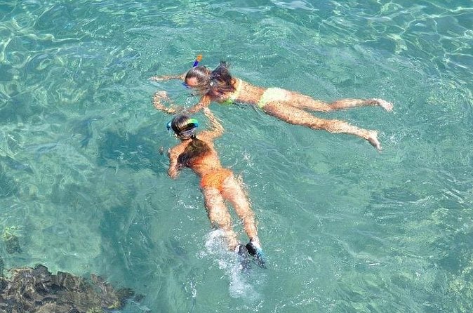 Small-Group Snorkeling Experience at Sea Garden - Should You Book the Sea Garden Snorkeling Experience?