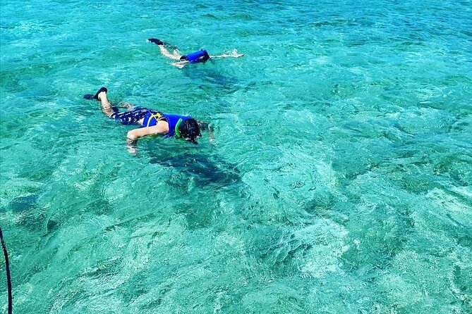 Small-Group Snorkeling Experience at Sea Garden - What the Time in the Water May Feel Like