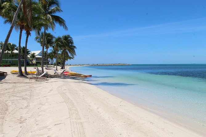 Snorkel/Swim with the Turtles Experience - A beach afternoon with room to do very little