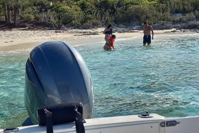 Snorkeling, Swim with Turtles & Beach Day - Morning or Afternoon: Choosing Your Four Hours