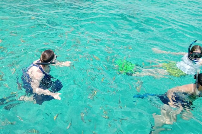 Snorkeling, Swim with Turtles & Beach Day - Who Will Get the Most From This Boat Day
