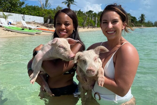 Swim with the Pigs and Explore Caves in Nassau - Two Nassau highlights in one half-day