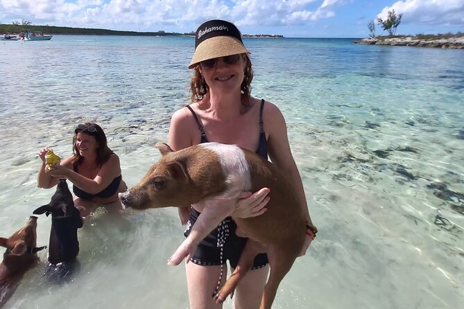 Swim with the Pigs and Explore Caves in Nassau - Pickup, boat transfers, and group size