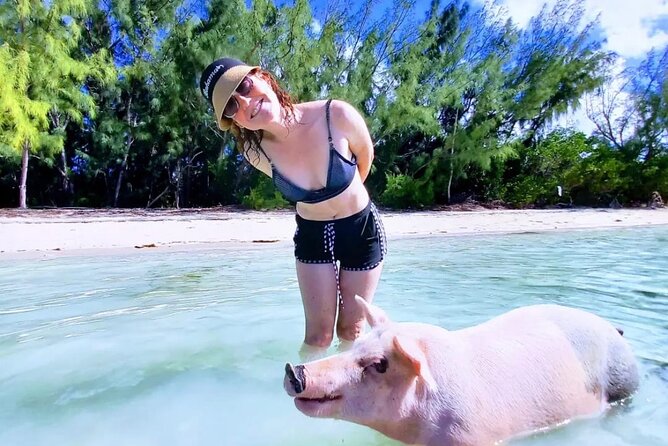 Swim with the Pigs and Explore Caves in Nassau - What the positive experiences get right