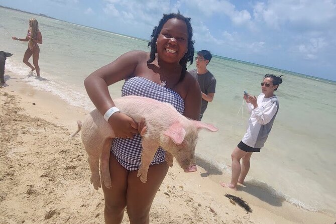 Swim with the Pigs and Explore Caves in Nassau - The pig encounter at Atholl Island or Adelaide Village