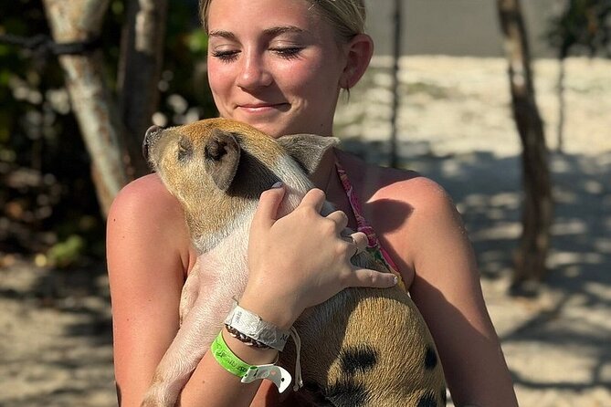 Swim with the Pigs Freeport @Creative Eco Adventures - The pig pen adds the personal touch