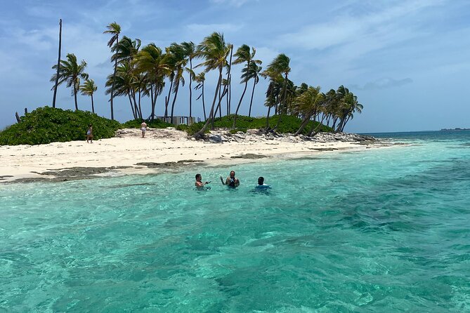 Swim with the Pigs Safari in Bahamas (2hrs) - Morning or afternoon: choosing your time