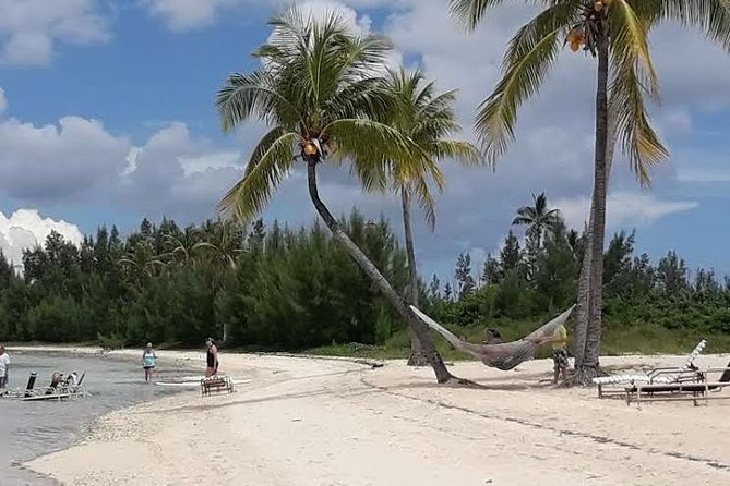 Swim with the Pigs / West End Experience - Starting at 8:00 a.m. in Freeport