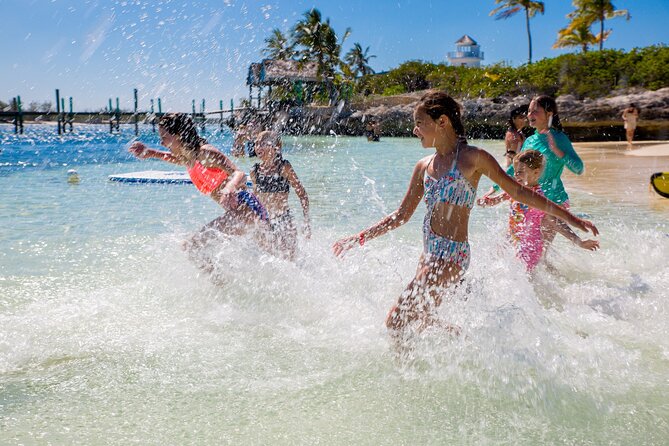 Swimming Pigs and Pearl Island Beach Escape - Kayaks, paddleboards, and the water trampoline