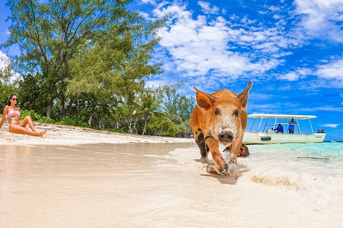 Swimming Pigs and Pearl Island Beach Escape - The lighthouse and Pearl Island views