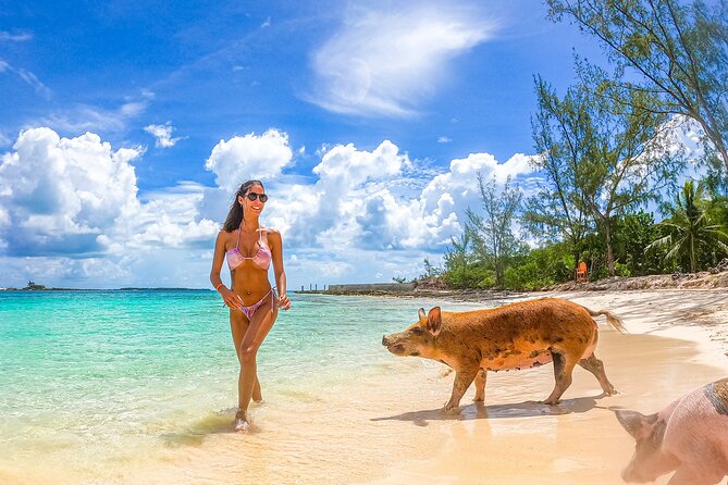 Swimming Pigs and Pearl Island Beach Escape - Boat transfers and timing can shape the day