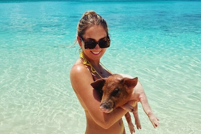 Swimming Pigs and Private Beach Club Escape - Meeting the pigs on Rose Island