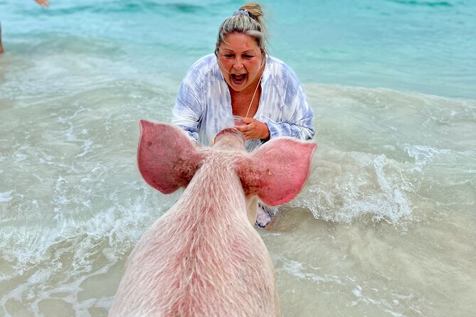 Swimming Pigs and Private Beach Club Escape - What lunch adds to the $149 price