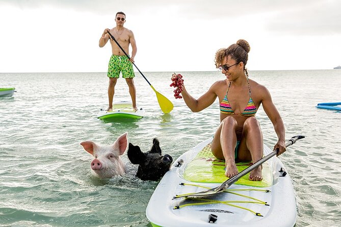 Swimming Pigs & ATV Tour - Key points at a glance
