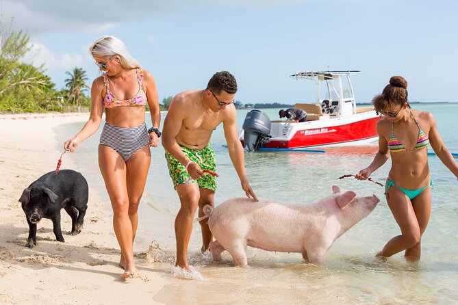 Swimming Pigs & ATV Tour - Passing through Adelaide Village