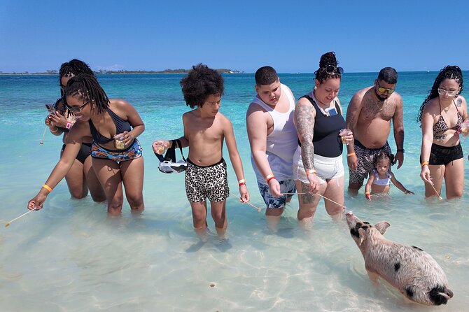 Swimming Pigs, Snorkeling and Beach Tour in Nassau Bahamas - Meeting the pigs on Athol Island