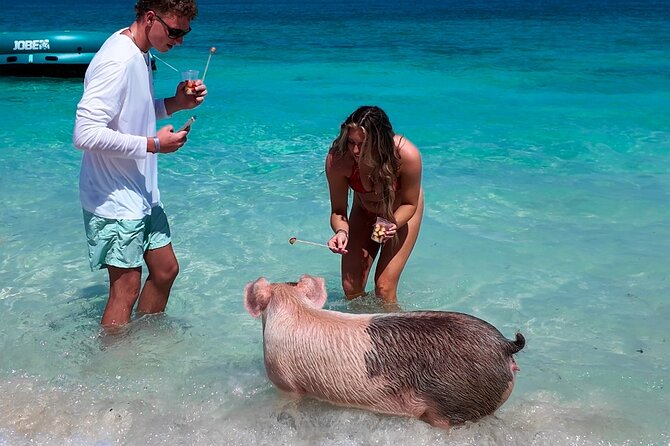 Swimming Pigs, Snorkeling and Beach Tour in Nassau Bahamas - Leaving Elizabeth on Bay for the harbor cruise