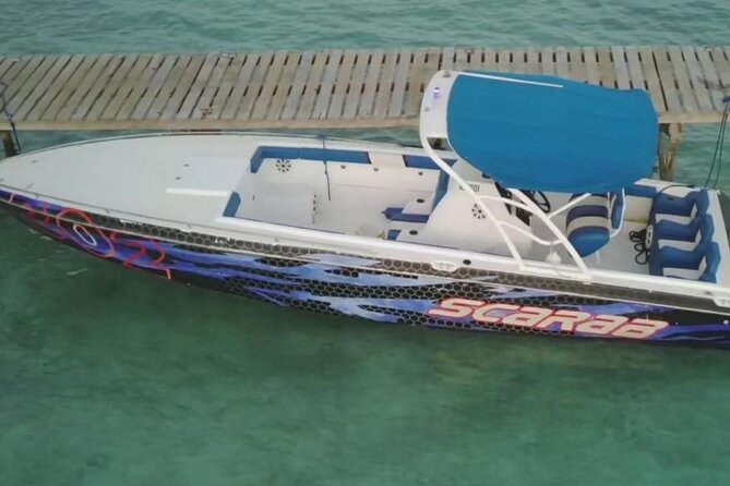 Swimming Pigs, Turtles & Reef Snorkel in Nassau-Champion Tours - Weather, cancellation, and what to pack