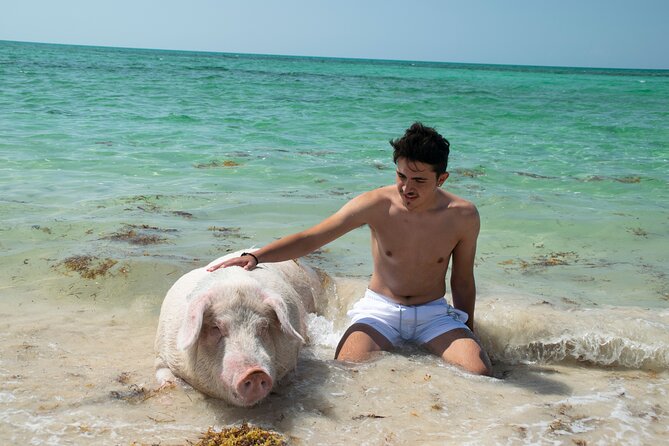 Swimming with Pigs in Nassau, Transportation Included - Rose Island beach time before the pigs