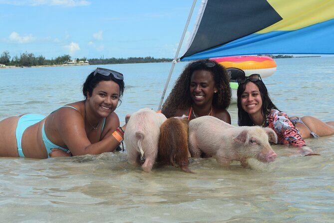 Swimming with Pigs in Nassau, Transportation Included - Lunch, drinks, and what is really included