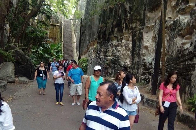 Tasty Rythm and Rock Tour - Tasty Teas brings the tour back to everyday island life