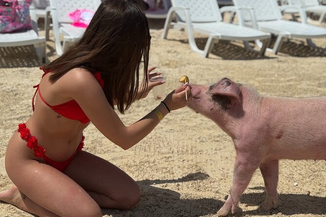 The Ultimate Bahamian Beach Day: Pigs, Jet Ski, Snorkeling & More - Meeting point, timing, and practical details