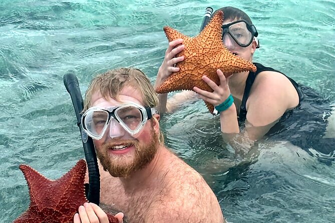 Top 4 Snorkeling Adventures in Bimini - Four Bimini stops, four very different moods