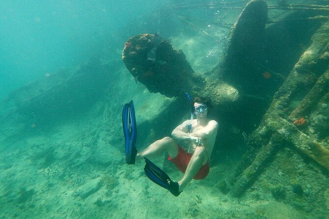 Top 4 Snorkeling Adventures in Bimini - Shark Arena is the bold finish