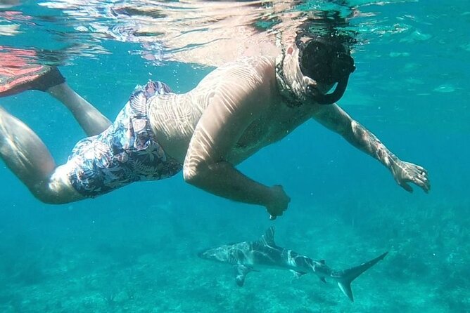 Top 4 Snorkeling Adventures in Bimini - What the $200 price really includes