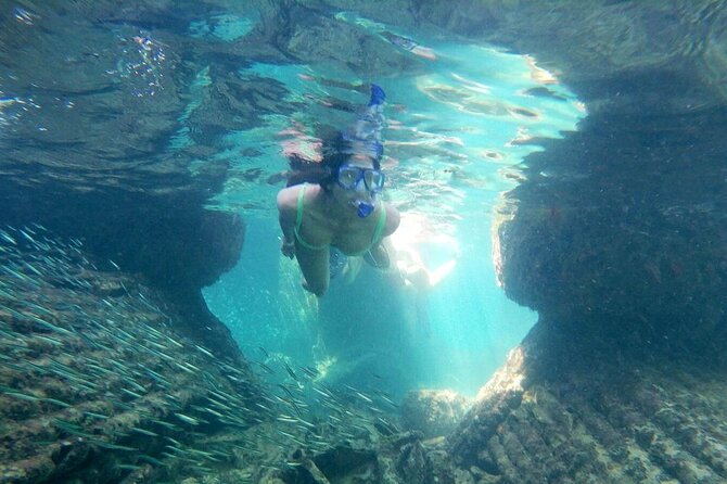 Top 4 Snorkeling Adventures in Bimini - Timing, fitness, and practical details