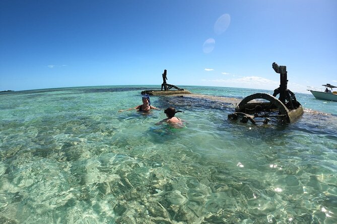 Top 4 Snorkeling Adventures in Bimini - Stingray Island brings the closest animal encounter